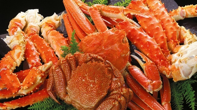 完全個室×寿司居酒屋 龍宮亭 札幌店