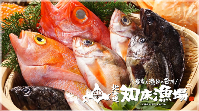 泳ぎイカ 北海道知床漁場 天満店