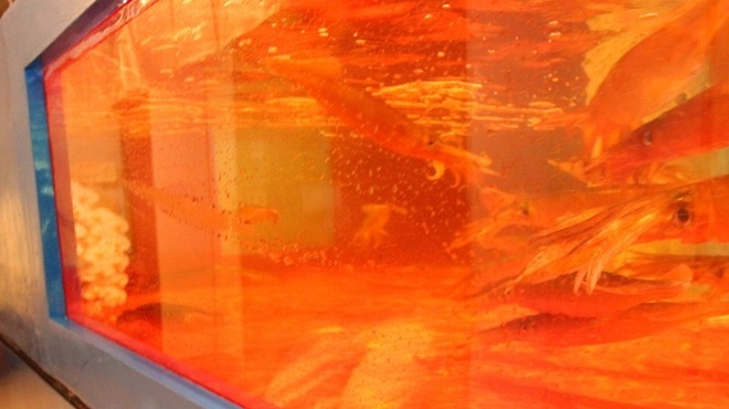 上野イカセンター