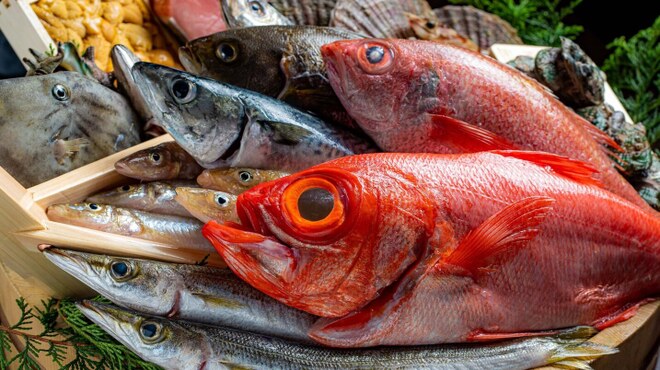 よか魚でうまかもん 博多萬漁箱