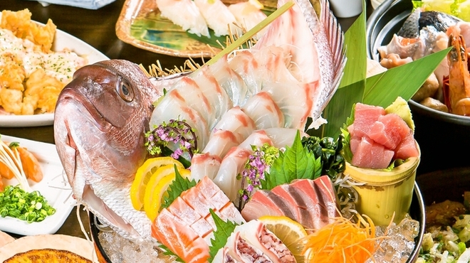 まぐろ居酒屋 さかなや道場 JR尼崎南口店