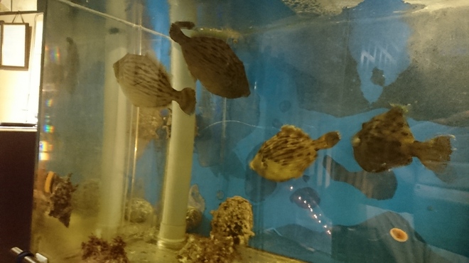 築地 濱の屋 目黒店